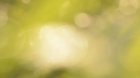 Beautiful grass background with bokeh. Stock Footage 44642217