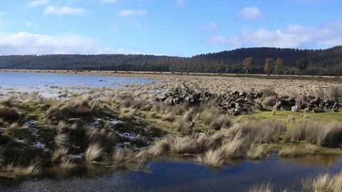 Beautiful grass in Bronte Lagoon Stock Footage 71747641