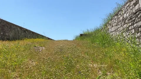Beautiful grass path up a hill with a blue sky and copy space Stock Footage 244347723