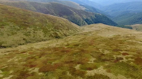 Beautiful grass pattern in the mountains in autumn. aerial view Stock Footage 84880050