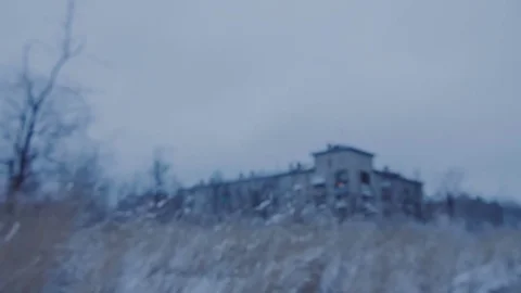 Beautiful grass under the snow. Video stock 73623915