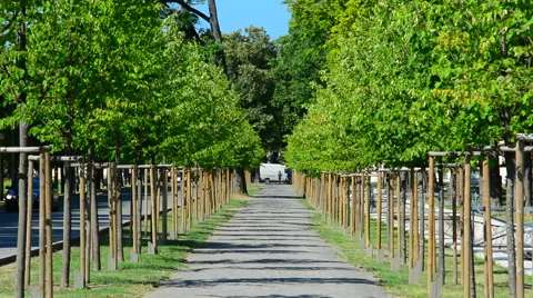 Beautiful green alley of city park Stock Footage