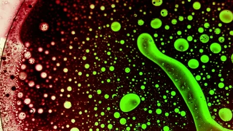 Beautiful green and red psychedelic dye pattern resembling biological threat Stock Footage 124283086