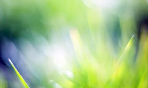Beautiful green bokeh background Stock Photos