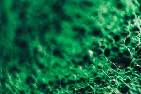 Beautiful green bubbles background . Macro view. Stock Photos