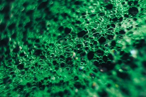 Beautiful green bubbles background . Macro view. Stock Photos
