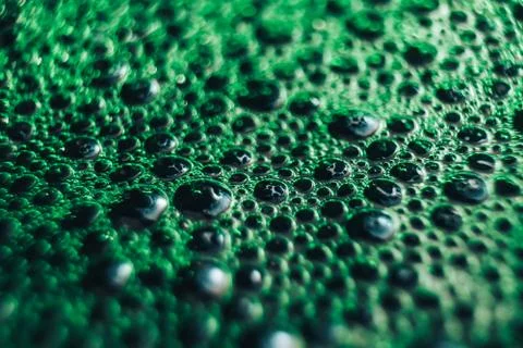 Beautiful green bubbles background . Macro view. Stock Photos