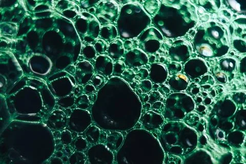 Beautiful green bubbles background . Macro view. Stock Photos