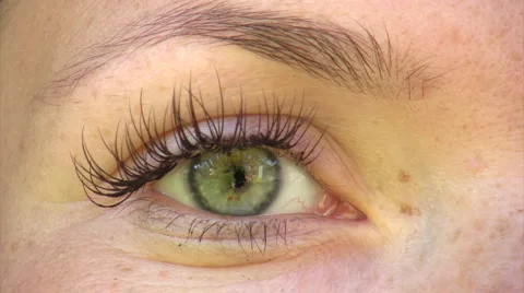Beautiful green eye 스톡 동영상 1806333