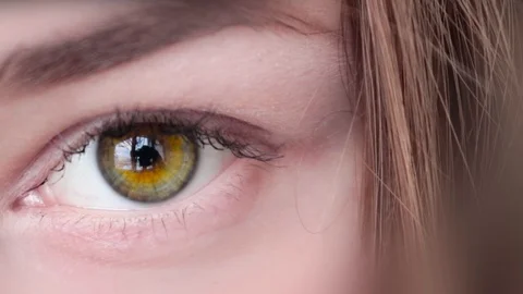 Beautiful Green Eye MACRO Stock Footage 101531398