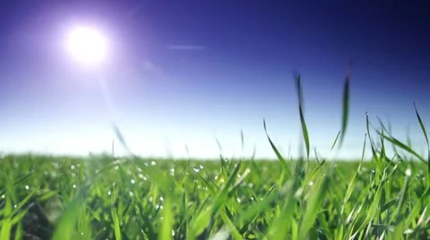 Beautiful green field 스톡 동영상 10725259