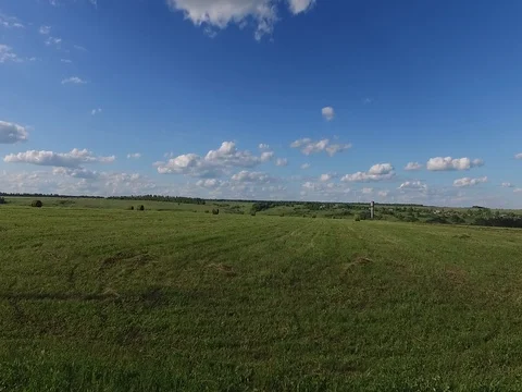 Beautiful green field Stock Footage 81174863