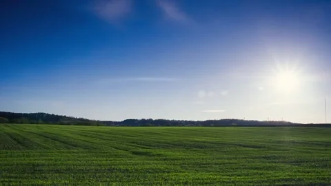 Beautiful green field at sunset time Video stock 88450827