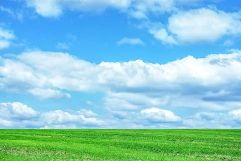 Beautiful green field under blue sky with clouds Stock Photos