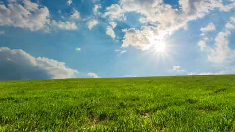 Beautiful green fields background Vidéo 339655001