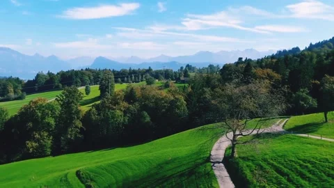 Beautiful green fields Stock Footage 218062581