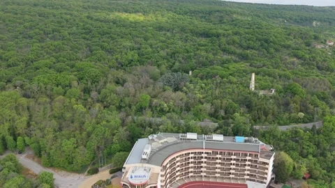 Beautiful Green Forest Captured From Drone Above Countryside Scenic Nature Stockbeeldmateriaal 334919351