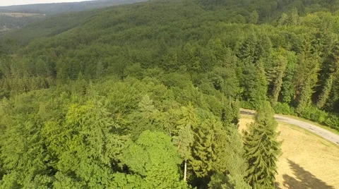 Beautiful green forest Stock Footage 53830527