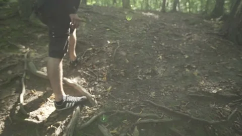 Beautiful green forest with gimbal, trees, man helps in POV Stock Footage 71312853