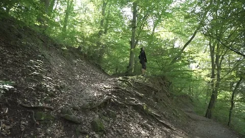 Beautiful green forest with gimbal, trees, man standing Stock Footage 71312905