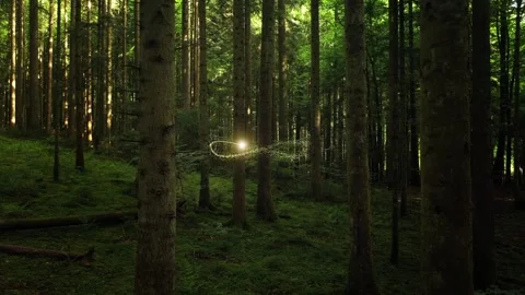 Beautiful green forest with infinity symbol animation Stock Footage 346391109