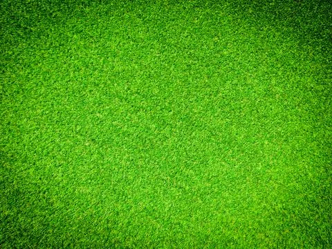 Beautiful green grass pattern from golf course for background. Copy space for Stock Photos