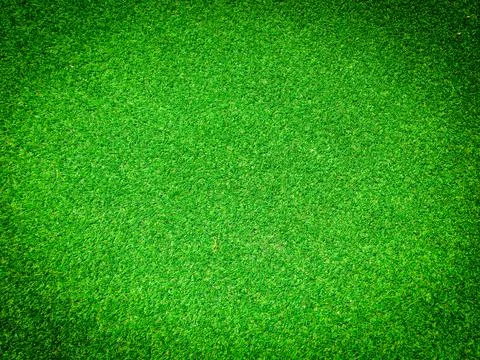 Beautiful green grass pattern from golf course for background. Copy space for Stock Photos