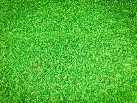 Beautiful green grass pattern from golf course for background. Copy space for Stock Photos