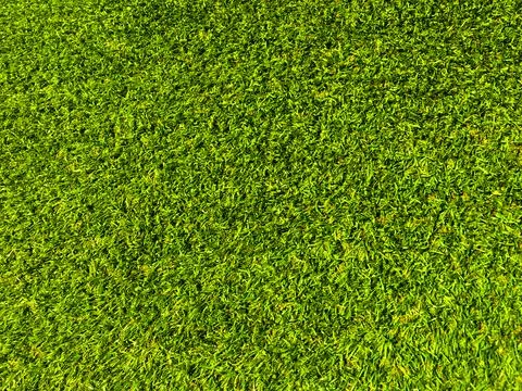 Beautiful green grass pattern from golf course for background. Copy space for Stock Photos