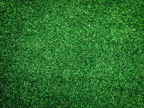 Beautiful green grass pattern from golf course for background. Copy space for Stock Photos