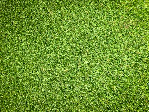 Beautiful green grass pattern from golf course for background. Copy space for Stock Photos