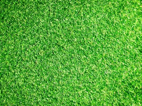 Beautiful green grass pattern from golf course for background. Copy space for Stock Photos