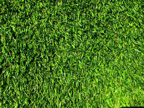 Beautiful green grass pattern from golf course for background. Copy space for Stock Photos