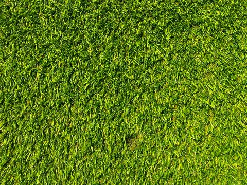 Beautiful green grass pattern from golf course for background. Copy space for Stock Photos