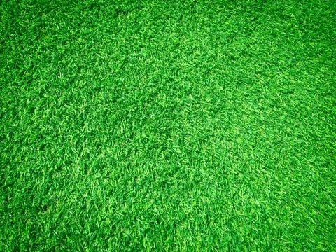 Beautiful green grass pattern from golf course for background. Copy space for Foto stock
