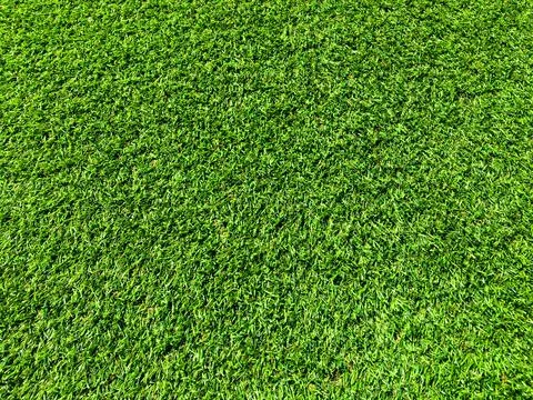 Beautiful green grass pattern from golf course for background. Copy space for Stock Photos