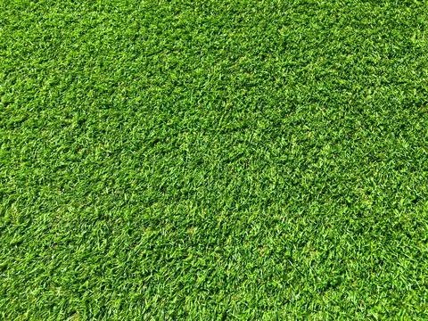 Beautiful green grass pattern from golf course for background. Copy space for Stock Photos