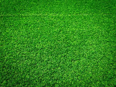 Beautiful green grass pattern from golf course for background. Copy space for Stock Photos