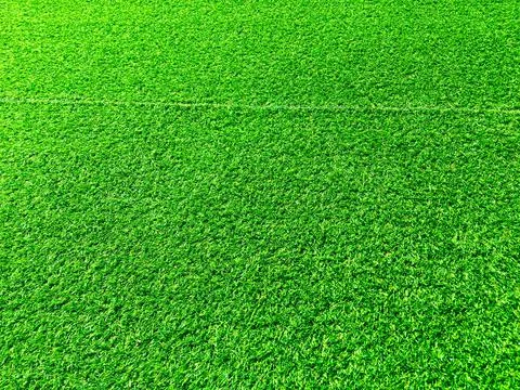 Beautiful green grass pattern from golf course for background. Copy space for Stock Photos