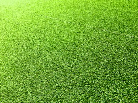 Beautiful green grass pattern from golf course for background. Copy space for Stock Photos
