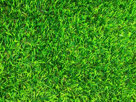 Beautiful green grass pattern from golf course for background. Copy space for Foto stock