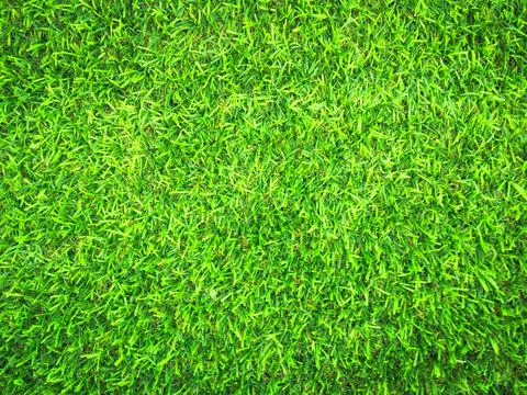 Beautiful green grass pattern from golf course for background. Copy space for Stock Photos