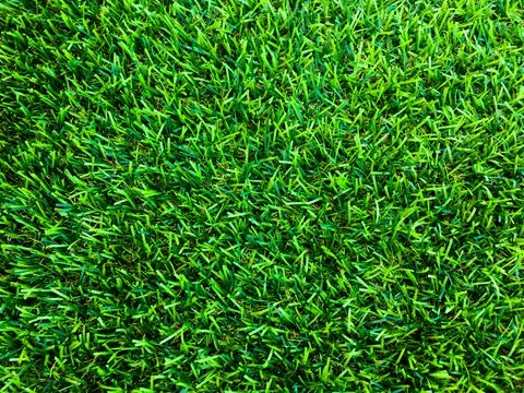 Beautiful green grass pattern from golf course for background. Copy space for Stock Photos