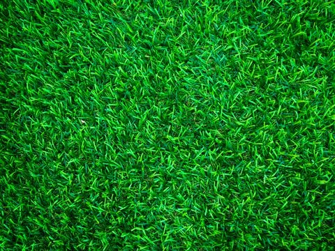 Beautiful green grass pattern from golf course for background. Copy space for Stock-Fotos
