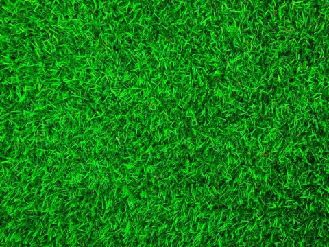Beautiful green grass pattern from golf course for background. Copy space for Stock Photos