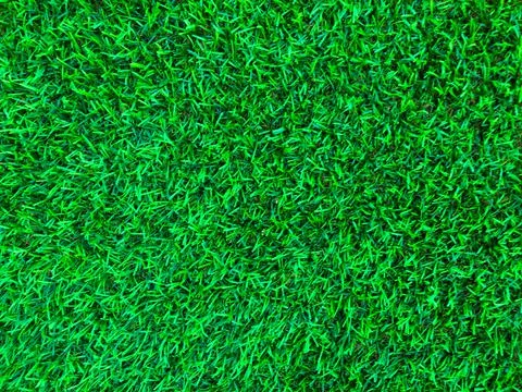Beautiful green grass pattern from golf course for background. Copy space for Stock Photos