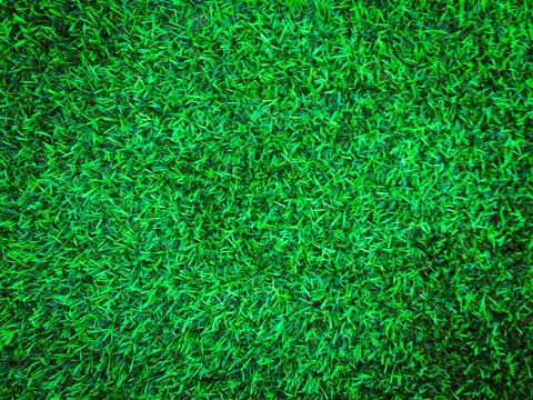 Beautiful green grass pattern from golf course for background. Copy space for Stock Photos
