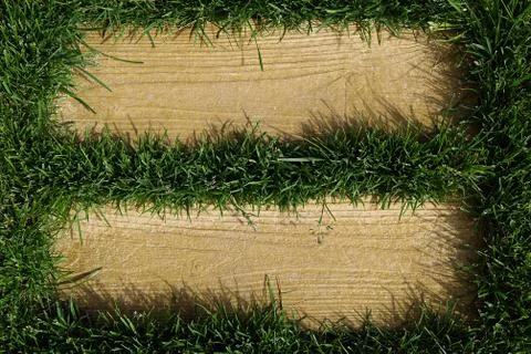 Beautiful green grass texture with empty space for text. Stock Photos