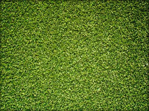 Beautiful green grass texture Stock Photos