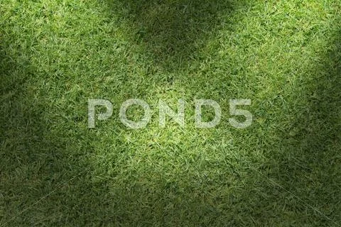 Beautiful green grass texture with sun beam Stock Illustration